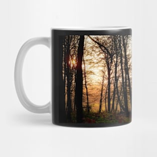 Woodland Sunset Mug